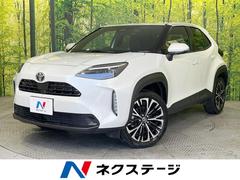�ȥ西����ꥹ���������ڡ��᡼���������ʥ��գģ��������ϥ���顡�����եƥ�����