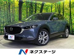�ޥĥ����ãءݣ����������ӡ��ץ������ƥ��֡��ġ���󥰥��쥯����󡡣��ף�