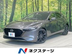 �ޥĥ����ͣ��ڣģ����ե����ȥХå����ء��̥ѥå����������������ʥӡ������ϥ����
