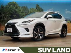�쥯�������Σء��Σأ������衡�ɥѥå����������ףġ���ǥꥹ���ե륨����