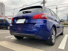 ������ ����塼�롡�֥롼�ȣģ顡��󥪡��ʡ��������ʥӡ��ե륻�� 9731011A30251113W001 7
