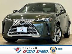 �쥯�������գء��գأ�������ȣǣ�������졡�ţ��������ɡ����̻��Ѽ֡������ϥ����