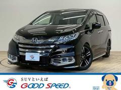 �ۥ�������ǥå����ϥ��֥�åɡ��ϥ��֥�åɥ��֥��롼�ȡ��ۥ�����󥷥󥢥ɥХ󥹣С������ϥ���顡�ե�åץ������˥���