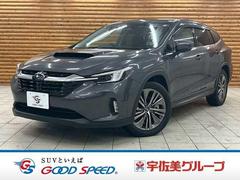 ���Х롡��������� �쥤�Хå�����ߥƥåɣţء��ϡ��ޥ󥫡��ɥ������ϡ���ư�ꥢ������