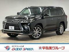 �쥯�������̣ء��̣أ����������;�ꡡ�ꥢ���󥿡����ޡ�����ӥ󥽥�
