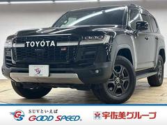 �ȥ西�����ɥ��롼�������ǣҡ��ӣУϣңԡ������ʡ�����롼��
