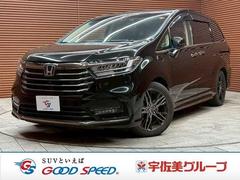 �ۥ�������ǥå����ϥ��֥�åɡ��塧�ȣţ֥��֥��롼�ȡ��ţء�ξ¦��ư��������