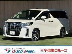 �ȥ西������ե����ɡ��������ӡ��åѥå������������ʥӡ�����롼��
