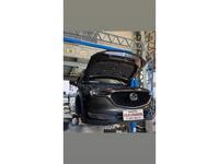 車検・点検・診断の作業実績16