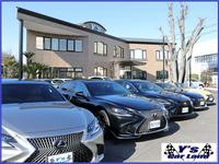 �ʳ��˥磻�����磻������������Ź