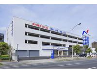 ����Ź����