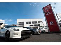����Ź����